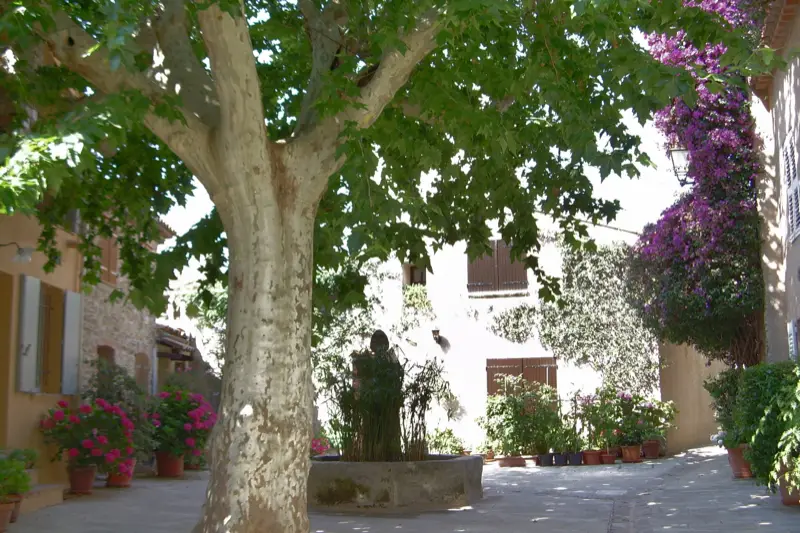 Petite place de village à l’ombre d’un grand platane, une fontaine de pierre au centre, des pots de fleurs et un bougainvillier contre les façades