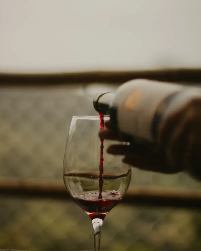 Vin rouge versé dans un verre à pied, en contre-jour